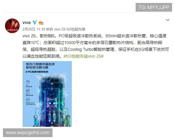 如何成为Z6APP会员享受专属福利和优先服务