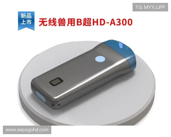 尊龙凯时在线官网提供最全的游戏资讯与安全保障，助你轻松畅玩每一场精彩赛事