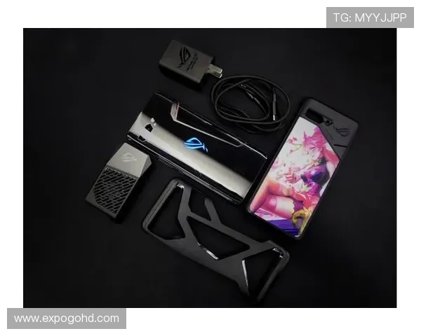 尊龙备用平台最新注册流程详解,确保玩家快速顺利开启游戏体验